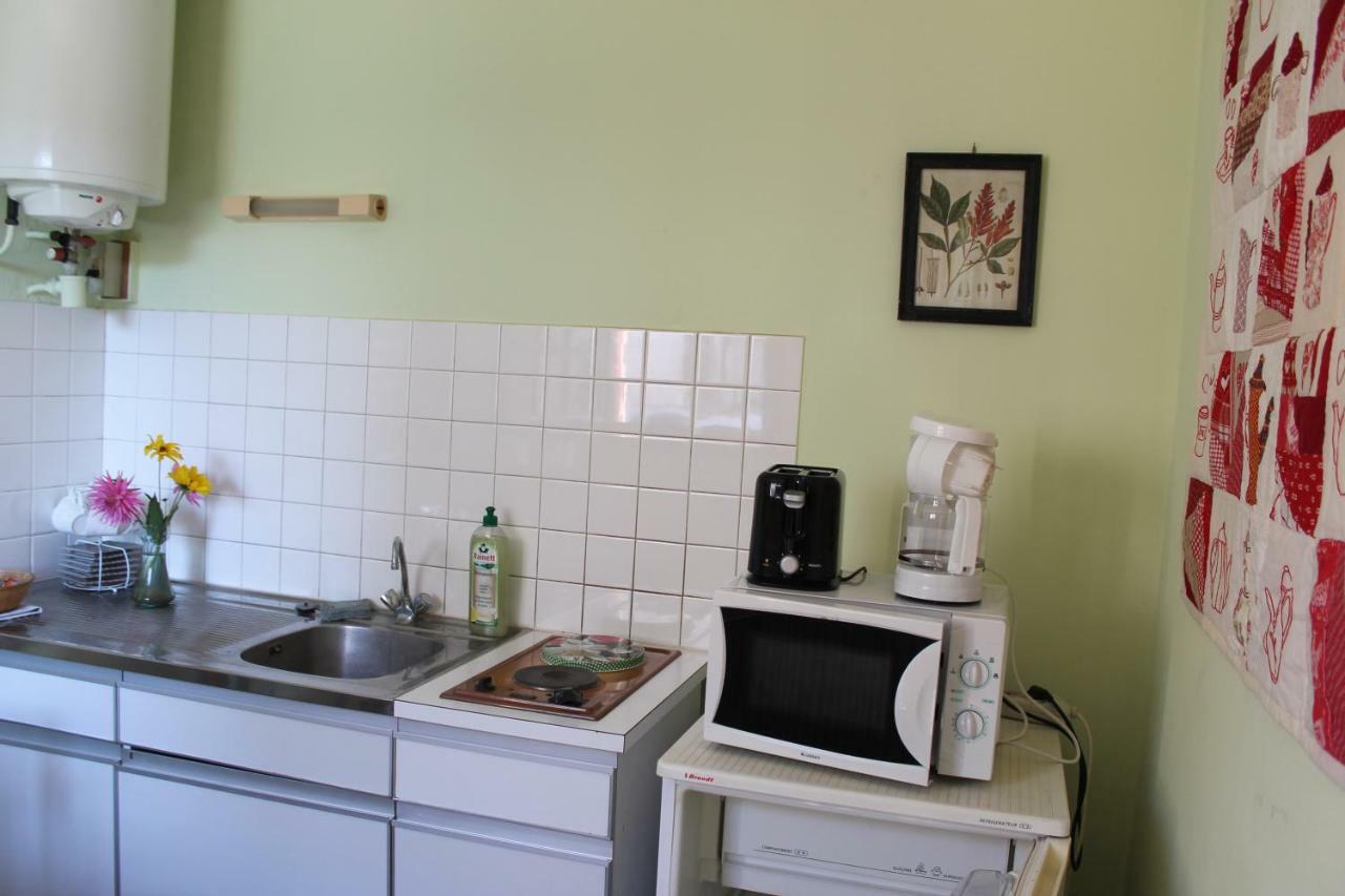 Appartement Val De Saone Seurre 外观 照片